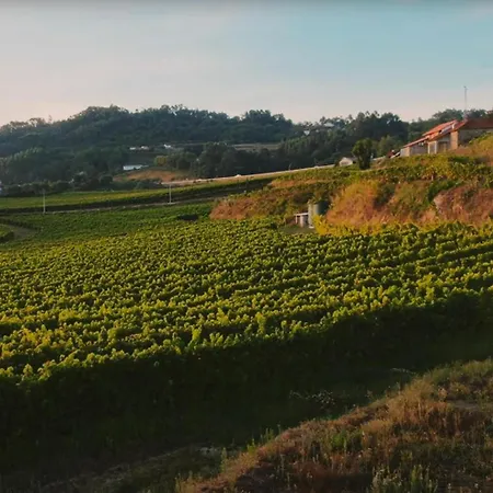 The I - Uma Quinta Deslumbrante Дом отдыха *