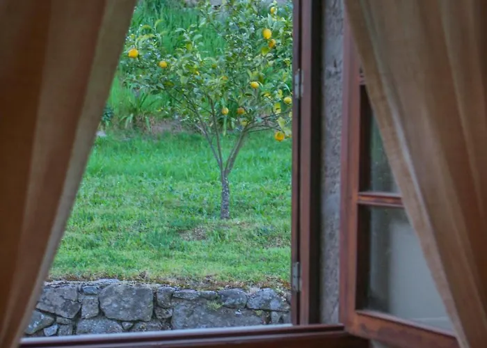 The I - Uma Quinta Deslumbrante Сasa de vacaciones Felgueiras