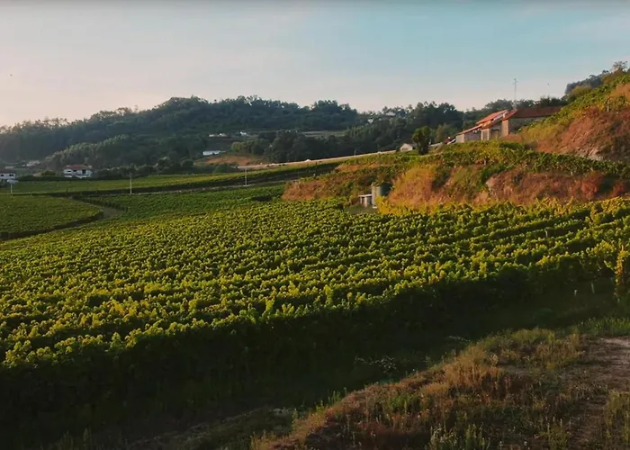 The I - Uma Quinta Deslumbrante Сasa de vacaciones *